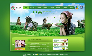 自貢網站建設公司黑羽網絡簽約 [中茶集團]